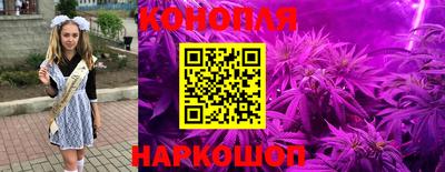 стафф Рыбинск