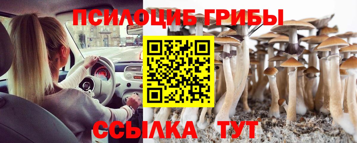Псилоцибиновые грибы прущие грибы Рассказово