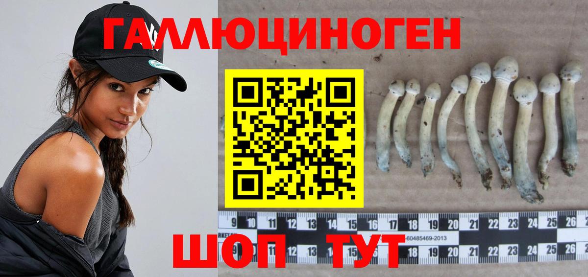 Рассказово  Псилоцибиновые грибы мухоморы  Галлюциногенные грибы GOLDEN TEACHER  Вход с VPN 